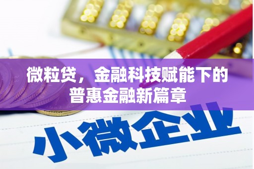 齐河微粒贷，金融科技赋能下的普惠金融新篇章