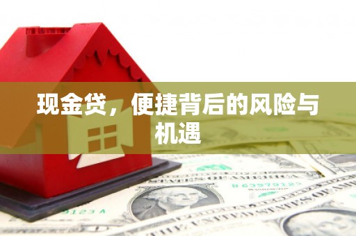 齐河现金贷，便捷背后的风险与机遇