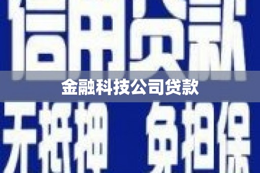 齐河金融科技公司贷款