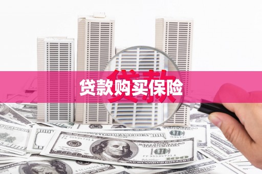 齐河贷款购买保险