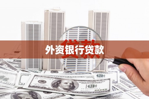 齐河外资银行贷款