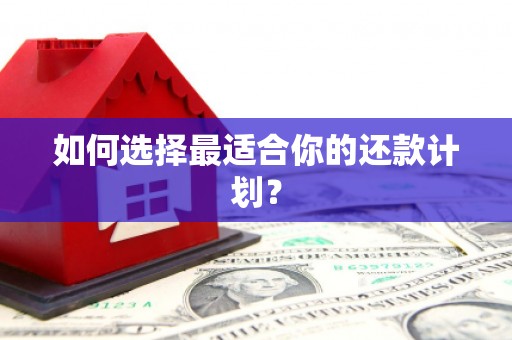 齐河如何选择最适合你的还款计划？