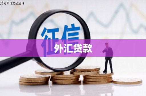齐河外汇贷款
