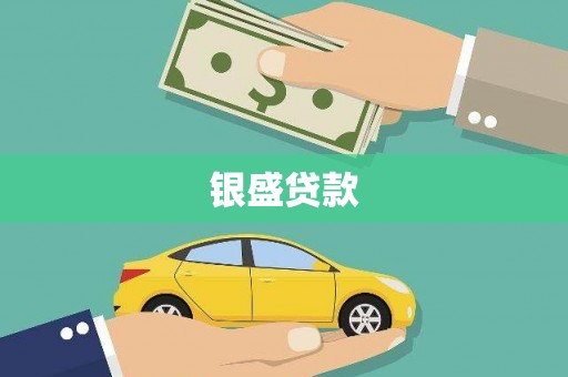 齐河银盛贷款