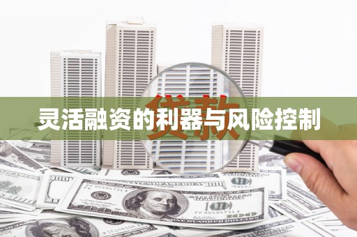 齐河灵活融资的利器与风险控制