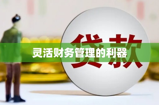 齐河灵活财务管理的利器