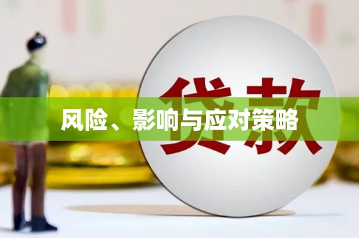 齐河风险、影响与应对策略