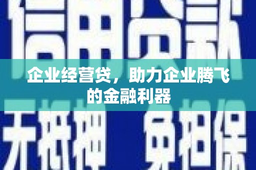 齐河企业经营贷，助力企业腾飞的金融利器