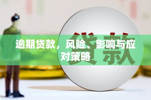 齐河逾期贷款，风险、影响与应对策略