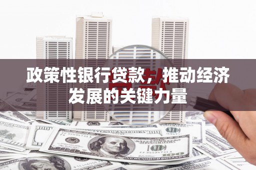 齐河政策性银行贷款，推动经济发展的关键力量