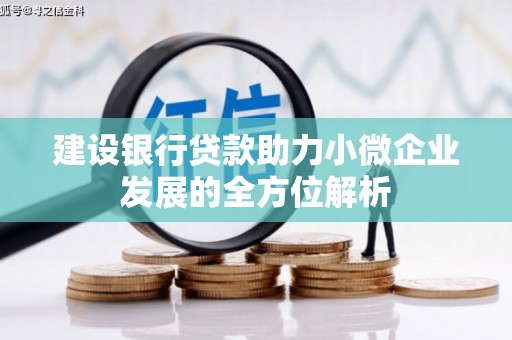 齐河建设银行贷款助力小微企业发展的全方位解析