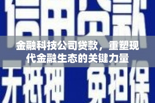 齐河金融科技公司贷款，重塑现代金融生态的关键力量