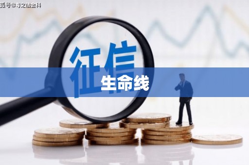 齐河生命线