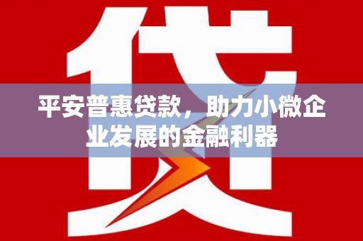 齐河平安普惠贷款，助力小微企业发展的金融利器