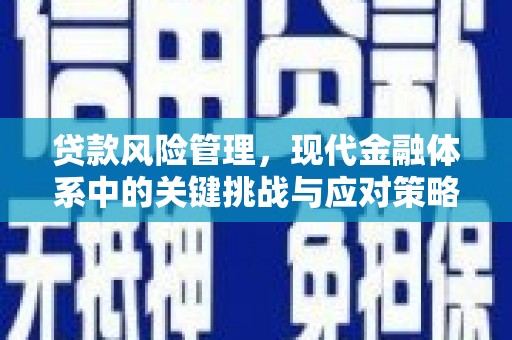 齐河贷款风险管理，现代金融体系中的关键挑战与应对策略