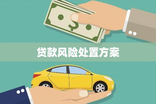 齐河贷款风险处置方案