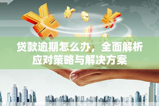 齐河贷款逾期怎么办，全面解析应对策略与解决方案