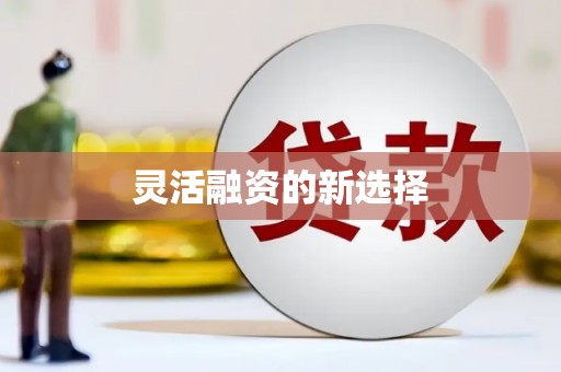 齐河灵活融资的新选择
