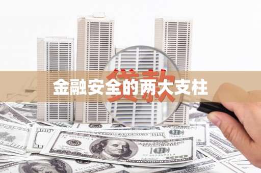 齐河金融安全的两大支柱