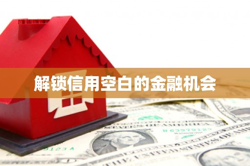 齐河解锁信用空白的金融机会