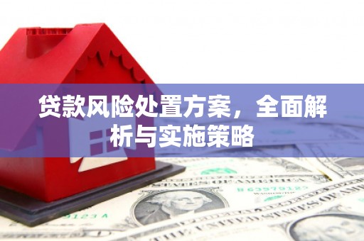 齐河贷款风险处置方案，全面解析与实施策略