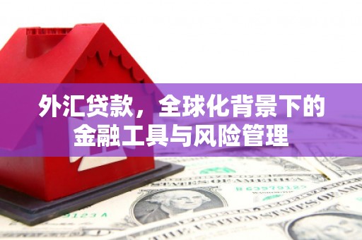 齐河外汇贷款，全球化背景下的金融工具与风险管理